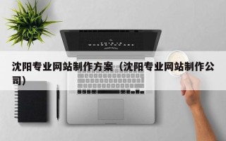 沛县沈阳专业网站制作方案（沈阳专业网站制作公司）